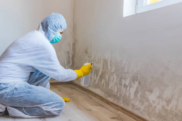 Hvac And Air Duct Mold Remediation inspection of HVAC system in Broadview